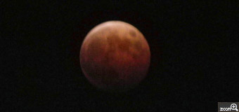 のっそりくまたん／埼玉県朝霞市　「皆既月食♪」　赤銅色と言われる月を撮ってみたかった。