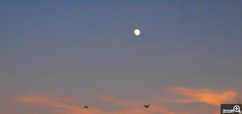 もっちゃん／三重県松阪市　「秋の夕暮れ」　夕焼けとお月様のコラボです。