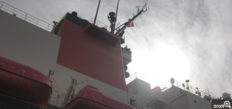 ピンクのくま／愛知県安城市　「デカイ！」　名古屋港に寄港した砕氷艦「しらせ」を観に行ってきました！　この船が南極に行くのかと思うと、ワクワクしました！