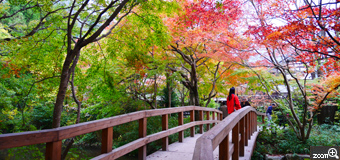 satosato／大分県大分市　「晩秋の湯布院」　湯布院の紅葉が綺麗な季節が来ました。紅葉と温泉街がとても美しく空は曇っていましたが綺麗な写真が撮れました。