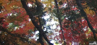 nasu／愛知県名古屋市　「天授庵の水面に映る紅葉」　先日京都に行き、南禅寺天授庵に行ってきました。そのとの水面に映る紅葉があまりにもすばらしかったので投稿します。でもすごく人が多く短時間でピントを合わせなければならず、大変でした。