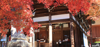 ＥＲＩＮ／愛知県名古屋市　「秋の犬山寂光院　本堂」　紅葉と本堂を写してみました