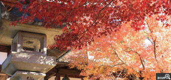 ＥＲＩＮ／愛知県名古屋市　「犬山寂光院～灯篭と紅葉～」　灯篭をアクセントに、二色の紅葉が映えるような位置で写してみました。