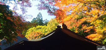 ボラッチャ／愛知県田原市　「晩秋の静けさ」　紅葉の色と幟の色を出して、お寺の本堂はシルエットに。木漏れ日が差し込む暖かさも表現出来たらと思い撮影しました。