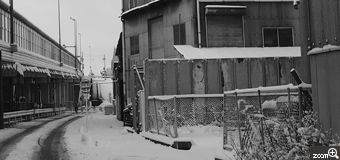 にゃんこ／愛知県名古屋市　「雪の朝。」　名古屋としては記録的な積雪となった朝。通勤途中に撮りました。始めカラーで撮ってみて物足りなく感じたので、モノクロにしてみました。