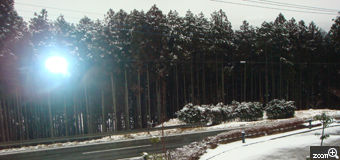 藍珠／静岡県牧之原市　「雪のち晴れ」　雪やんでガッカリ。静岡県でも雪の降らない地域に住んでいる私は今年2月雪見は初めてでした。カメラを覗いてビックリ日が射してきたよ！