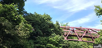 ゆみ／石川県金沢市　「あやとり橋」　石川県は金沢だけではなく、こんなにも素敵なスポットがあります。新緑の中に架かる紅紫色の橋と、渓流をバランスよく、見ている人に全体像がイメージできるように撮影しました。橋の色が目立つため、緑の部分を多く撮影しました。
