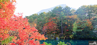 穂高／愛知県名古屋市　「秋の五色沼」　前回は磐梯山（雪）登頂の帰りに。今回は紅葉と撮影です。
