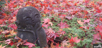 はなまま／愛知県豊田市　「お地蔵さん」　かわいらしい表情が気に入って。ポイントは、散り紅葉の色です。