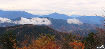 くろわっさん／愛知県あま市　「頂きのごほうび」　高尾山頂上でごほうびが待ってました。富士山の雪化粧と曇り空とのコントラストに苦労しました。季節感がわかるように手前の紅葉も入れてみました。
