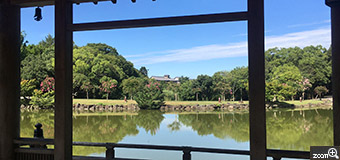 フリューゲル／愛知県名古屋市　「絵になる風景」　奈良の浮見堂から見た景色。　奈良の浮見堂から見た風景。浮見堂の柱が額装になって、まるで風景画の様に撮れました。新緑と青い空に恵まれた事に感謝。