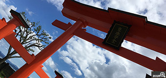みちこ／愛知県西尾市　「何か感じるーー！」　鳥居の先にある風景は何か良いー。　鳥居はいつ観ても何か感じるーーその向こうの景色は、、、