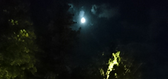 MIDORI／滋賀県愛知郡愛荘町　「月も見てる」　お多賀さんがライトアップされていました。　神あかりと言う多賀大社でしているお祭りを見に行ってきました。カメラを持ってなかったので、むつかしかったです。