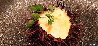 にゃーこ／愛知県名古屋市　「フォトジェニックなお料理」　本物のウニの殻に入った、グラタンです。目にも舌にも美味しいお料理でした。
