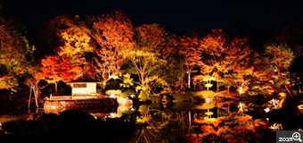 yofu／愛知県東海市　「夜の庭園」　