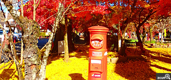 coco.nao／愛知県名古屋市　「秋を届けて」　下を見ても、上を見ても紅葉だったので、ワンポイントにポストを入れて見ました。