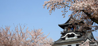 ぼん／三重県四日市市　「犬山城と桜」　この時期にしか見れない犬山城を、と思って犬山城下を背景に桜を撮ってみました。　桜にピントを当てたのでお城が若干ボケていると思います。お城と桜のバランスを考えて撮りました。