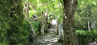 puppy／愛知県岡崎市　「夏の寂光院」　大原、寂光院にて山門へと続く緑のトンネルを撮影しました。　観光客の方が途切れるタイミングを待ち、深緑と光の美しさを捉えました。
