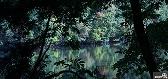 みしょ／石川県珠洲市　「leaf frame」　生い茂る木と葉の間から見えた向こう側の少し紅葉した景色。池にはマガモも泳いでました。　フレームらしくなるように暗めに設定しました。雲一つない天気だったのでその向こうには木々の色が映えるように…したつもりです。