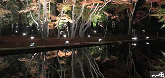 ここたん／愛知県春日井市　「曾木公園の紅葉」　池に映える紅葉がなんとも綺麗でした。
