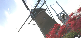 まゅ／千葉県佐倉市　「風車と彼岸花」　コスモス畑の隅っこに咲いていた彼岸花が綺麗でした。　風車と彼岸花が一緒に入るように頑張ってみましたぁ。