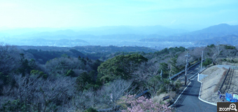 ポンポン／三重県桑名市　「見上げると」　素晴らしい眺めです。
