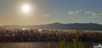 ヨッコ／滋賀県大津市　「昼間なんです」　眩しかった太陽と湖岸のコラボ。　琵琶湖岸車中から、あえて逆光撮影に挑戦してみました。