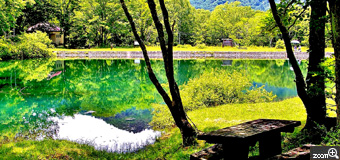健知／愛知県稲沢市　「夏の静寂」　新潟県妙高市笹ヶ峰の清水ヶ池。大自然の静寂につつまれています。　高原の空気感が伝わればうれしいです。
