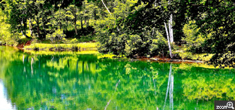 健知／愛知県稲沢市　「夏の静寂」　新潟県妙高市笹ヶ峰の清水ヶ池です。高原の池の静寂感が伝わればうれしいです。　高原の池の涼しさを伝えたいです。