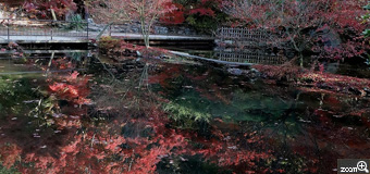 いたりん／愛知県豊田市　「曽木公園　さかさ紅葉」　ライトアップが中止だったので、今年は昼間のさかさ紅葉を撮ってみました。