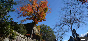 ひろし／愛知県名古屋市　「苗木城跡紅葉」　山城人気一番どんなとこかな。天気恵まれ恵那山、木曽川とても良い。