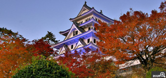 健知／愛知県稲沢市　「郡上八幡城と紅葉」　ライトアップされたお城と紅葉のコラボ。　お城と紅葉のバランスを大切にしました。