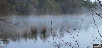 まい／愛知県名古屋市　「水蒸気舞う」　早朝散歩で頻度は低いですが池に上がる水蒸気を見つけると撮りたくなります。