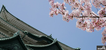 meg／愛知県名古屋市　「春の名古屋城」　お城と桜のツーショット。　金鯱展の最中でお城の屋根にシャチホコが無かったのでローアングルで撮影してみました。