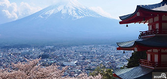 たまぴー／愛知県半田市　「大好きな富士山」　富士山と桜のコラボが一度見たかった！　この場所に行くのに1年待ってやっと撮れた。