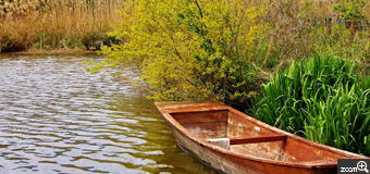 健知／愛知県稲沢市　「さざ波」　国営木曾三川公園アクアワールド水郷パークセンター内の池に係留された、船と池の周辺の風景。　池のさざ波と係留された船の哀愁が伝われば嬉しいです。