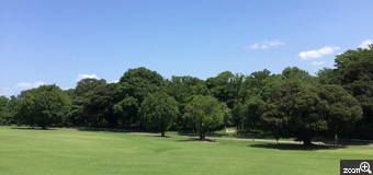 さくらこ／愛知県清須市　「360度の緑と青空」　愛知森林公園です。　芝生広場に立ち360度の緑と青空。暑さを感じ、深呼吸。色合いと空間のコントラストがきれいだと感じました。