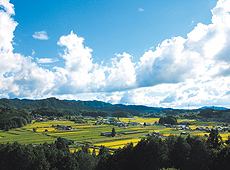 岩村町にある農村景観日本一展望所からの景観