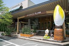 日本最大のちこり生産施設「ちこり村」。地場の野菜、名産品販売、ちこり生産ファームと焼酎蔵の見学の他に、レストランも併設。体験教室も（時期により）開催。