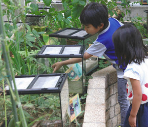 飼育ケース内の昆虫を観察する子どもたち＝白山市の県ふれあい昆虫館で