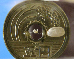 五円玉の穴の中に入る極小の折り鶴＝いずれも岐阜市粟野西のギャラリー「淡墨香房」で