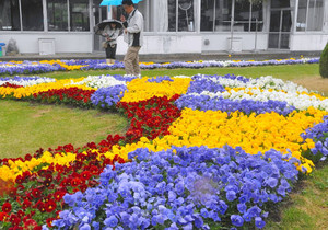 色とりどりの花でデザインされた花壇を審査する審査員ら＝松本市の旭町小で