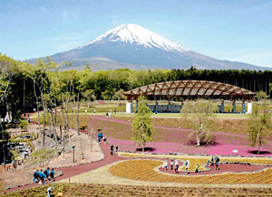 富士山とともに過ごせる「樹空の森」