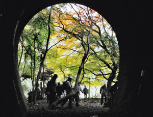 トンネルや色づき始めたモミジを楽しむ来場者たち＝春日井市の愛岐トンネル群で
