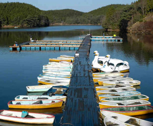 湖面でのワカサギ釣り用に延長された桟橋＝恵那、中津川市境の保古の湖で