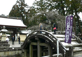 多賀大社の大鳥居をくぐると現れる「太閤橋」