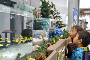 熱帯の魚もクリスマス気分？水槽に見入る子どもたち＝各務原市川島笠田町のアクア・トトぎふで