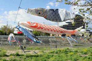 風になびくこいのぼり＝松阪市内五曲の阪内川親水公園はなぞの広場で