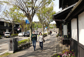 夢京橋キャッスルロードは、城下町の風情を感じさせる町並み。後方は彦根城