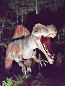 ライトアップされ不気味さが増す恐竜ロボットの「スピノサウルス」＝勝山市のかつやまディノパークで